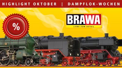 BRAWA Dampflokomotiven Preisnachlass bis zu 30 Prozent Bayerische S 2/6, DR Baureihen 01, 02 und 44