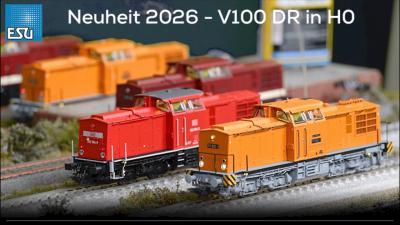 ESU V 100 Ost Deutsche Reichsbahn DR Baureihe BR 110 DB BR 202