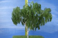 StillerTec Baum