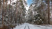 Eisenbahn Schmalspurbahn im Winter Ainringer Moos bei Freilassing