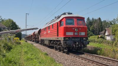 Diesellokomotive SEL 234 242-6 Torfwerk Ainring