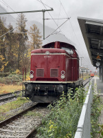 Rheinische Eisenbahn GmbH RE 213 336-1 Bad Reichenhall V 100