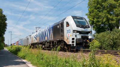 STADLER EURODUAL Lokomotion 2019 313-6 Freilassing