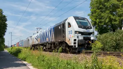 STADLER EURODUAL Lokomotion 2019 313-6 Freilassing