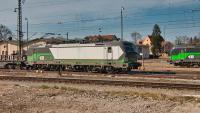European Locomotive Leasing ELL SIEMENS Vectron 193 239 und 193 752 