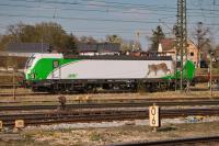 SETG SIEMENS Vectron 193 728 in Freilassing