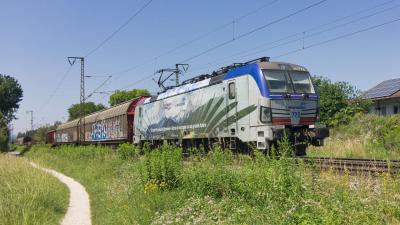 SIEMENS Vectron Lokomotion 193.773 Güterzug Freilassing