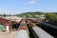 IMG_2137