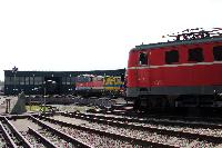 IMG_2329