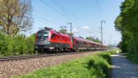 ÖBB Railjet mit 1116 243 in Freilassing