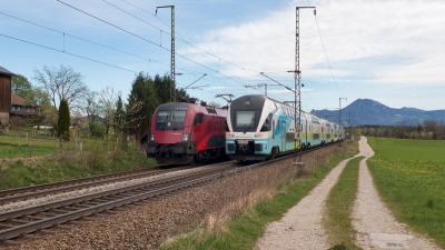 ÖBB Railjet Westbahn Konkurrenten Niederstrass