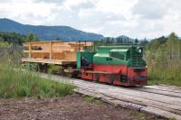 Feldbahn im Ainringer Moos - ein Zug