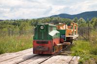 Feldbahn im Ainringer Moos - Diesellok mit Waggon