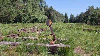 Ainringer Moos Feldbahn Eisenbahn Gleise Weiche
