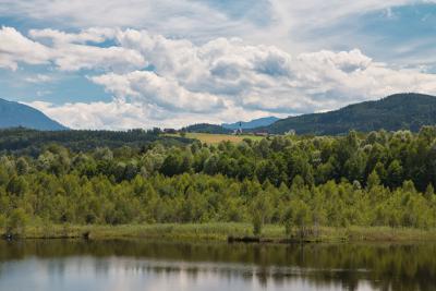 Feldbahn im Ainringer Moos - Ulrichshögl