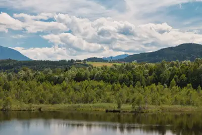 Feldbahn im Ainringer Moos - Ulrichshögl
