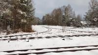 Feldbahn im Ainringer Moos - Gleise