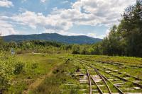 Feldbahn im Anringer Moos - Gleise und Weichen