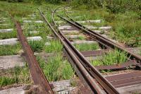 Feldbahn im Anringer Moos - Gleise