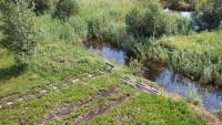 Feldbahn im Anringer Moos - Gleis-Ende