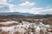 Feldbahn im Anringer Moos im Winter