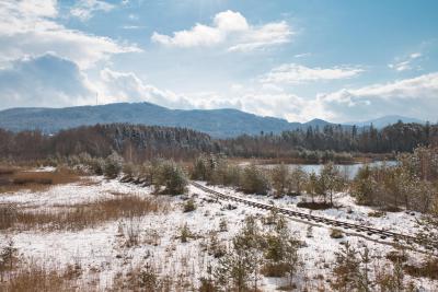 Feldbahn im Anringer Moos im Winter