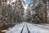 Feldbahn im Anringer Moos - Gleis-Gerade im Winter