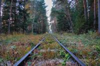 Feldbahn im Anringer Moos - Gleis-Gerade