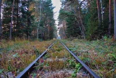 Feldbahn im Anringer Moos - Gleis-Gerade