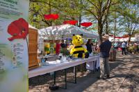 Bienen und Honig am Gartentag in der Lokwelt Freilassing