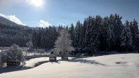 Gut Aiderbichl in Henndorf Österreich Advent Winter Wald