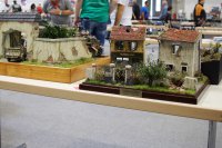 IMG_7955