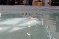 IMG_8065