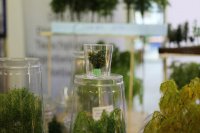 StillerTec Bäume und Büsche