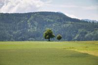 Eisenbahn-Fotografie Trainspotting bei Niederstrass Landschaft