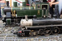 Parkbahn mit Echtdampf