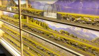 Joe Joachim Schwarz Vitrinen für Modelleisenbahnen Modelle Vitrine 2