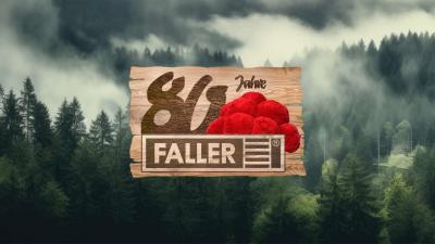 80 Jahre FALLER Modellbau Anlagenbau Car System Pola Modelleisenbahn