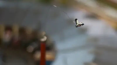 Modell der Lokwelt Freilassing im Maßstab 1:220 Spur Z Storch im Flug um den Schornstein